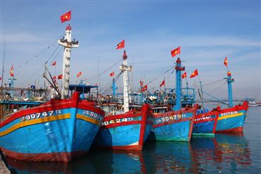 Bình Định’s Progress In Combating IUU Fishing