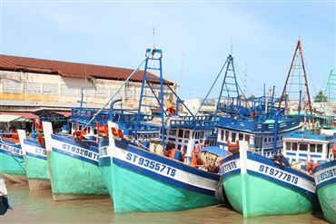 47 Fishing Ports Are Eligible To Marine Product Traceability