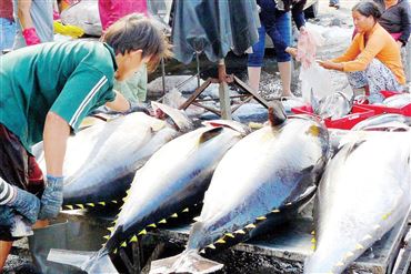 EC’s Yellow Card For Vietnam Seafood Remains In Place